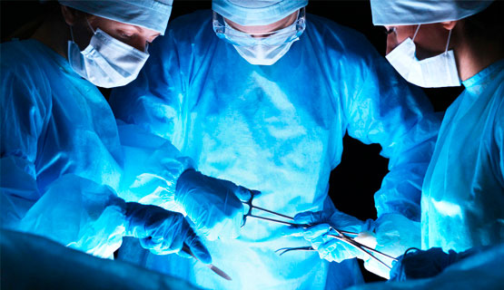 Шовный кетгут купить